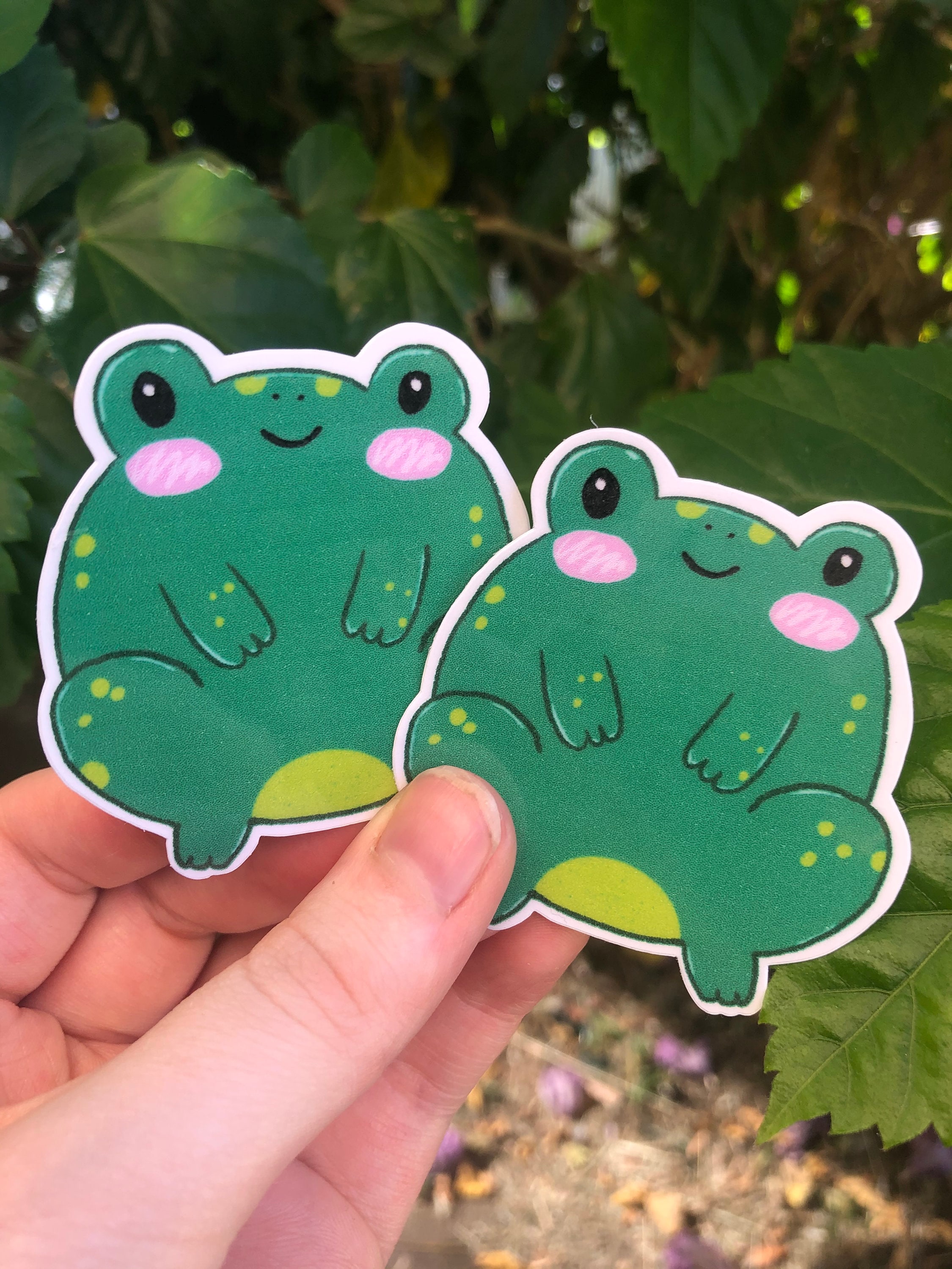 Kawaii frog stickers cute frog sticker set planner stickers | Etsy