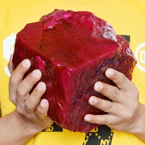 Peut inclure: Une grosse pierre précieuse de rubis brute, d'un rouge profond. La gemme est tenue à deux mains, mettant en valeur sa taille et sa texture naturelle et rugueuse. Le rubis a une forme irrégulière.