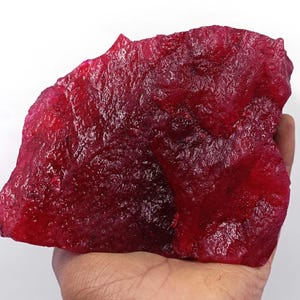 May include: A large, rough-cut ruby gemstone with a deep red color. The raw mineral is held in a hand, showcasing its irregular shape and textured surface. The ruby appears to be a natural, uncut specimen.