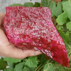 May include: A rough-cut, raw ruby gemstone with a deep red color. The surface of the stone has a textured appearance, with variations in color and tone. The ruby is held against a backdrop of green foliage.