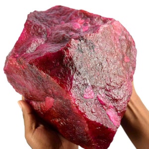 May include: A large, rough-hewn ruby gemstone, showcasing a deep red hue with lighter pink patches. The raw mineral is held in two hands, revealing its irregular, textured surface. The gemstone's size and color are prominent against the white background.