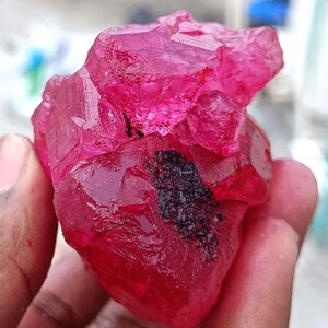 May include: A rough, uncut, faceted ruby gemstone. The ruby is a vibrant, translucent pinkish-red color with a dark, black inclusion. The gemstone is held in a hand, showcasing its natural, raw form. The ruby's surface reflects light, highlighting its crystalline structure.