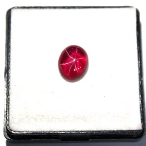 May include: A polished, oval-shaped, deep red gemstone with a six-rayed star pattern. The gem is set against a white background within a black-edged display box. The star effect is created by light reflecting off of inclusions within the stone.