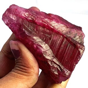 May include: A raw, uncut ruby gemstone with a deep red hue. The surface of the stone has a rough, textured appearance with visible crystalline structures. The gemstone is held in a hand, showcasing its size and natural form.
