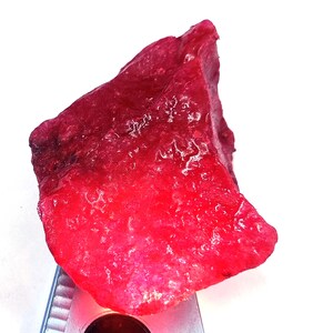 May include: A raw, uncut ruby gemstone with a vibrant red hue. The rough stone has a textured surface and irregular shape, showcasing natural formations. The ruby is held by a silver tool, highlighting its color and form.