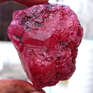 May include: A rough, uncut ruby gemstone. The ruby is a deep, saturated red color with a slightly uneven surface. The gemstone has a natural, unpolished appearance, showcasing its raw form. The ruby is held in a hand, showing its size and texture.