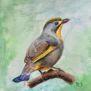 Watercolor bird painting Small bird painting bird tiny painting original Watercolor bird wall art decor animal watercolor painting