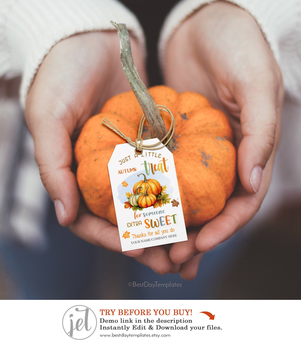 EDITABLE Thanksgiving Tags, Autumn Treat for Someone Extra Sweet Tag ...