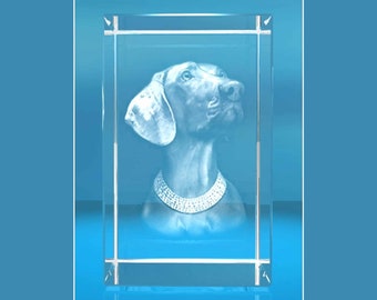 3D Glasquader   Motiv: Hund Weimaraner