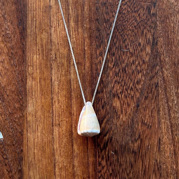 Cone Shell Jewelry Etsy
