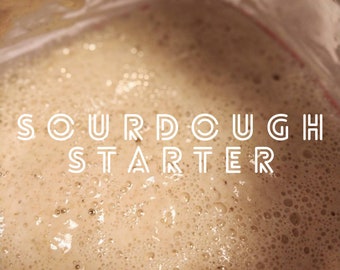 May include: Close-up of a sourdough starter in a glass jar, showing a bubbly, foamy texture. The text "SOURDOUGH STARTER" is superimposed on the image.
