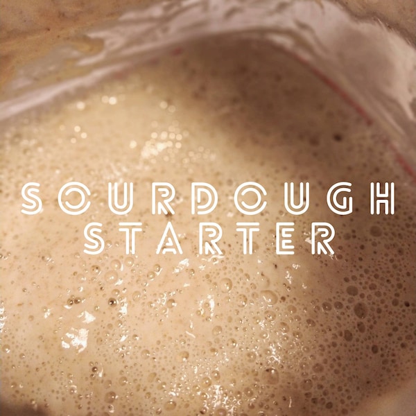 WILD 100% Texas Sourdough Starter,  1 oz. Dehydrated LIVE yeast for Bread, Pizza, Pancakes, Muffins, Biscuits, etc.!  Ships free to US