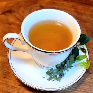 Native Yaupon Tea - Light Roast - Teabags - FREE SHIPPING