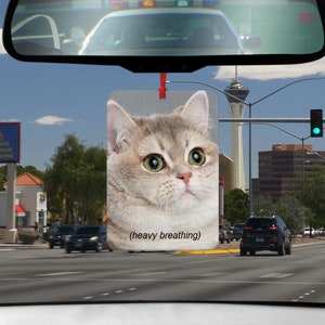 Könnte beinhalten: Ein Auto-Lufterfrischer mit einer Nahaufnahme eines Katzenkopfes mit dem Text "(heavy breathing)".