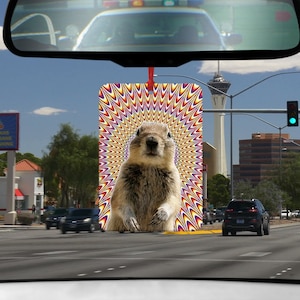 May include: A car air freshener with a psychedelic background featuring a ground squirrel. The squirrel is standing on its hind legs with its paws raised. The background is a swirling pattern of red, yellow, purple, and white.