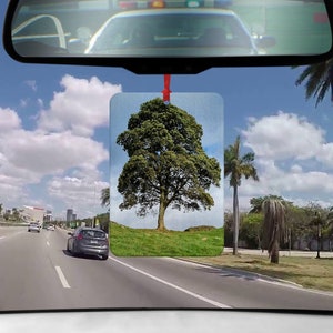Könnte beinhalten: Ein Auto-Lufterfrischer mit einem Foto eines großen grünen Baumes auf einer grasbewachsenen Wiese. Der Lufterfrischer hängt am Rückspiegel eines Autos.