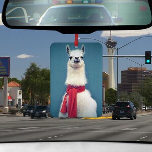 Könnte beinhalten: Ein weißes Lama mit einem roten Schal um den Hals. Das Lama schaut direkt in die Kamera. Das Bild hat einen blauen Hintergrund.