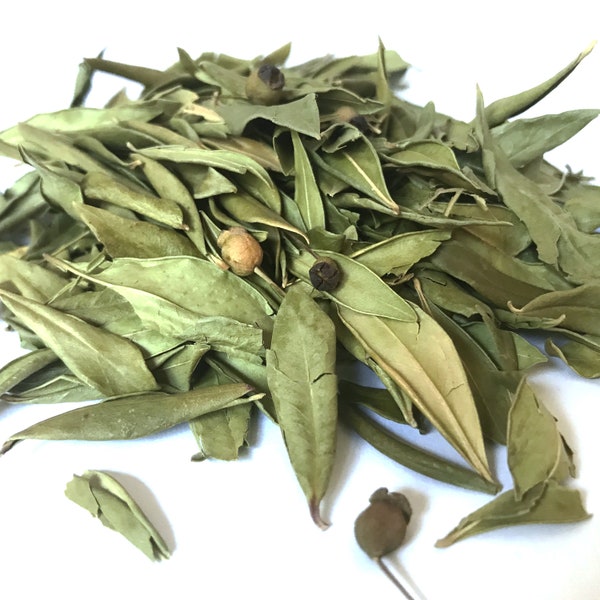 Feuilles de myrte séchées qualité premium, Dry myrtle leaves, Rayhane