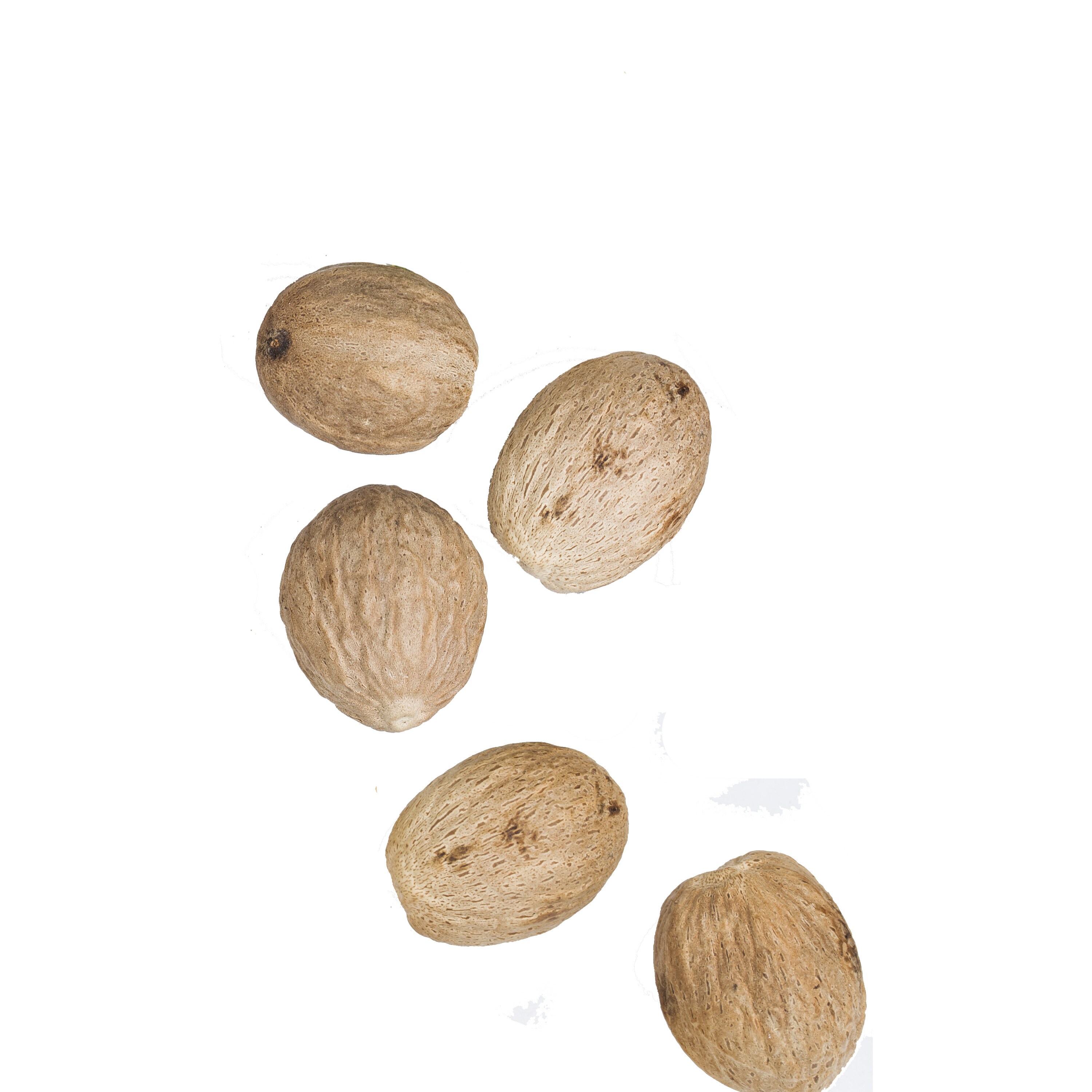 Whole Nutmeg ubicaciondepersonas.cdmx.gob.mx