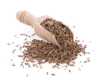 Grains d'aneth qualité supérieure - Dill seeds premium quality - TBECH - EL CHABTE