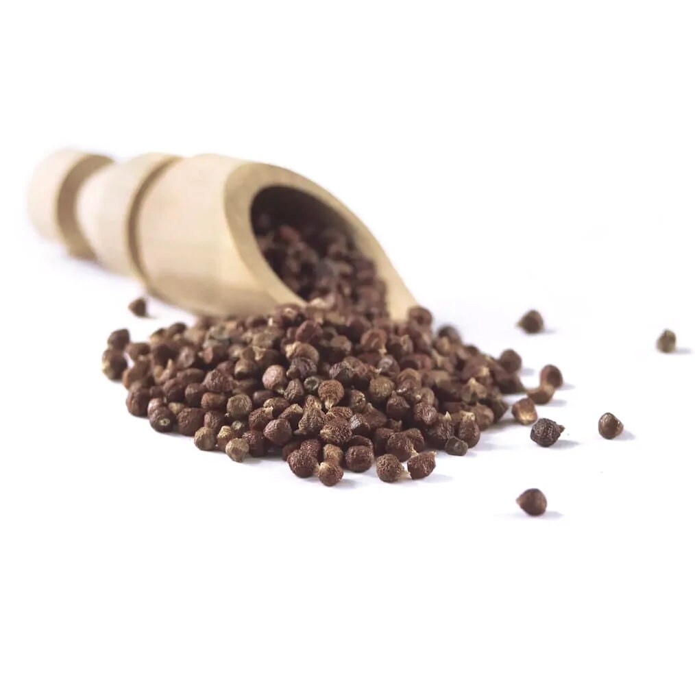 Graines de Parradis | Maniguette Qualité Supérieure - Paradise Seeds Premium Quality