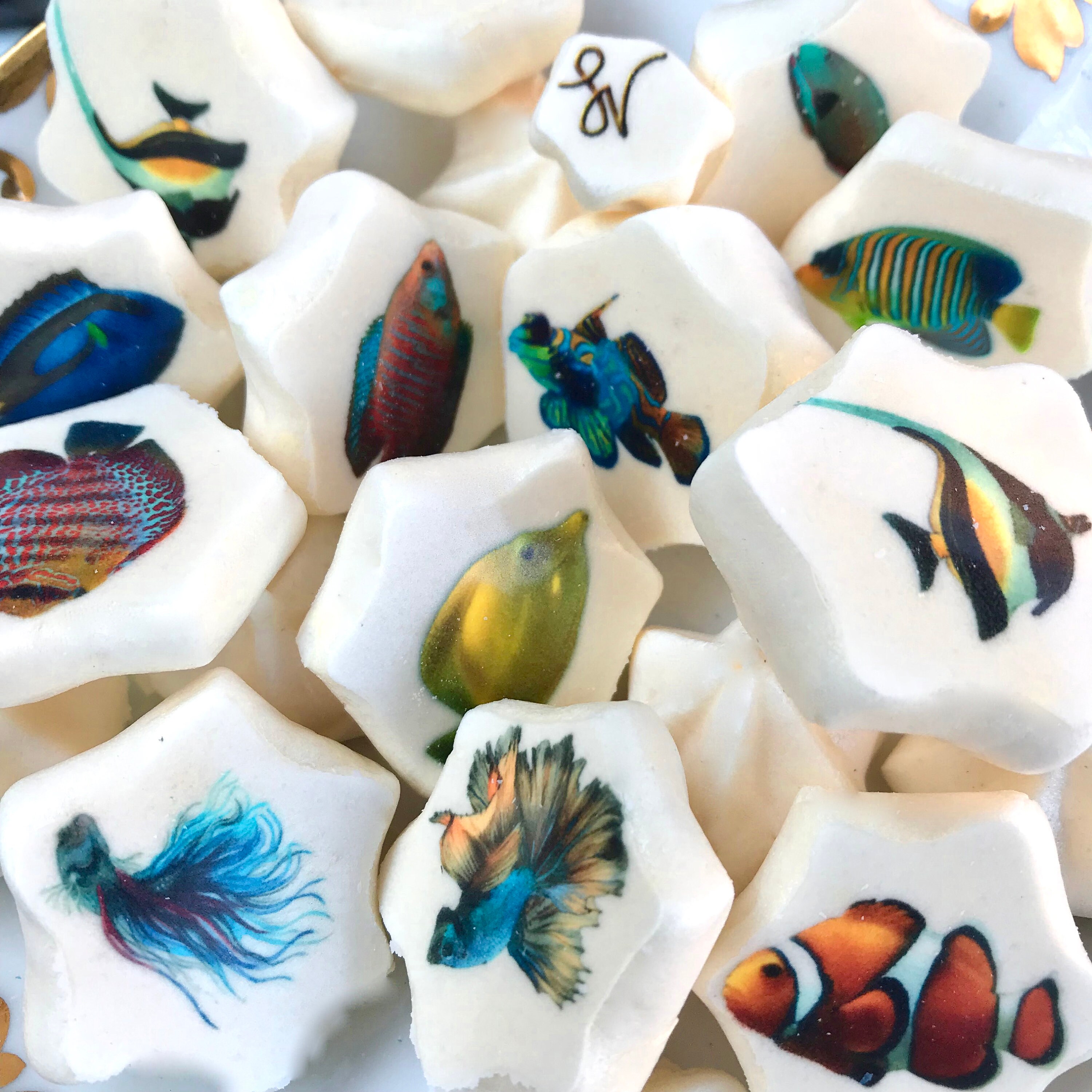 Edible Tropical Fish Transfer Sheets Sugar Art Stamps Tropic Sea Ocean