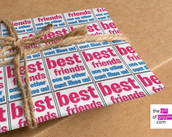 Inappropriately Funny Rude Offensive Swear Words Best Friends Cunt Gift Wrapping Paper