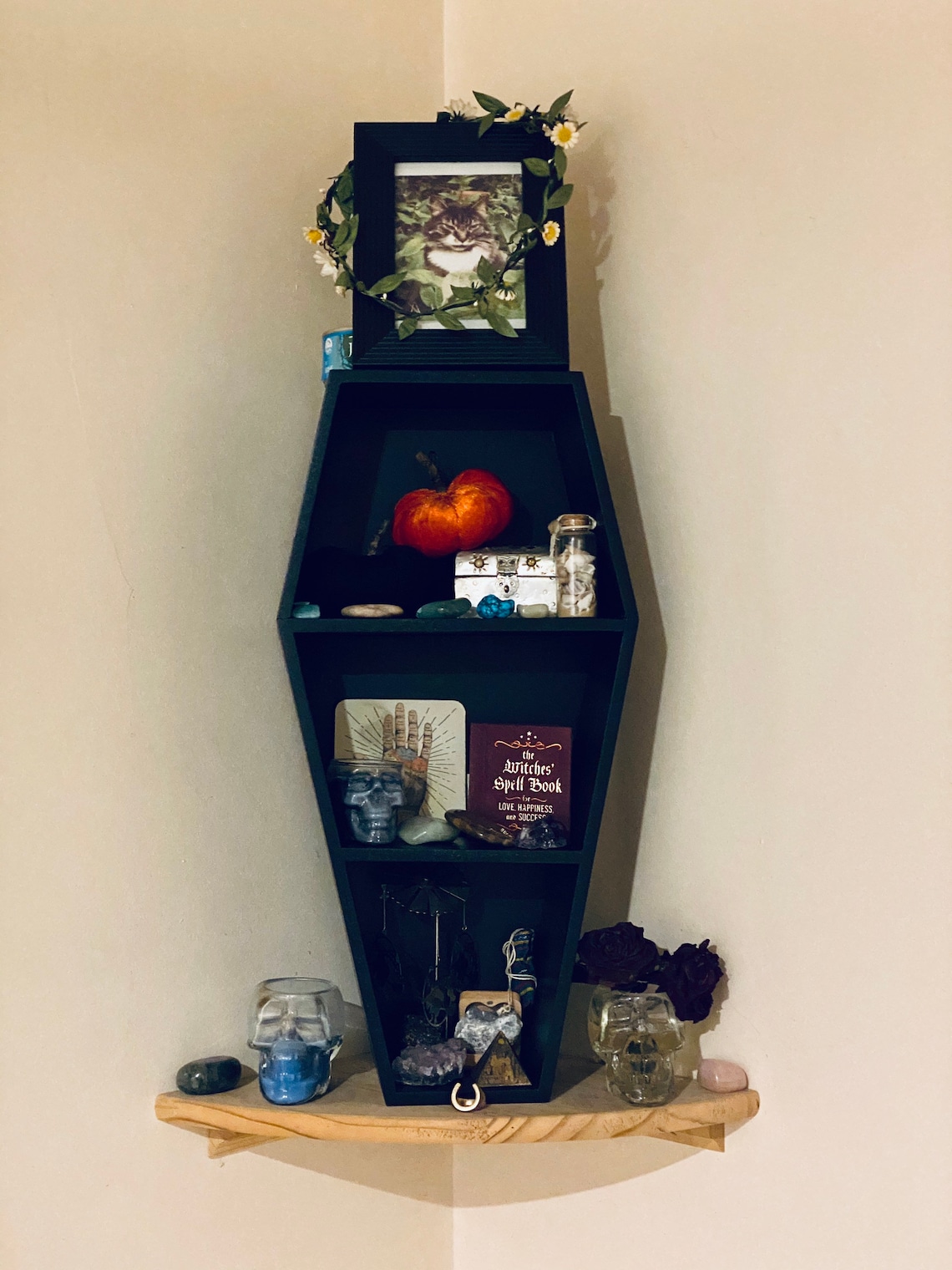 Coffin casket shelf unit wall hanging goth Halloween Etsy