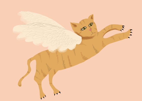 Flying Cat Wall Art Cat With Wings Print Pink Wall Art - Etsy Flying Cat Wall Art Cat With Wings Print Pink Wall Art - Etsy