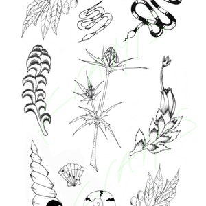 Nature flash tattoo image 1