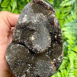 Medium Septarian Dragon Stone Egg