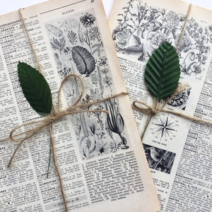 Vecchie pagine di dizionario in francese, 1968, 20 fogli illustrati mostrati, vecchia carta per album, diari, collage, decoupage, carta da regalo