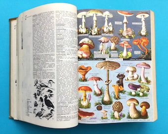 dictionnaire français vintage, encyclopédie Petit Larousse, 1964 broché illustré, 1600 pages, 48 planches en couleurs, atlas mondial