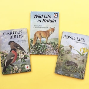 Vintage Ladybird books, 1960s and 70s kids books, Garden Birds, Wildlife in Britain, Pond Life, lovely John Leigh Pemberton illustrations