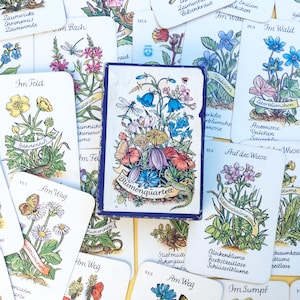 Karty Vintage Flower Quartet, Stare karty do gry, Ilustracje Vintage, Karty Botaniczne, Wyprodukowano w Niemczech, Kompletny zestaw, Karty FX Schmid