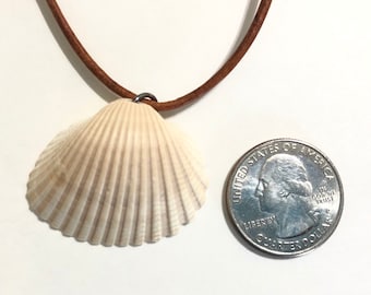 Amelia Island Seashell Necklace, Souvenir