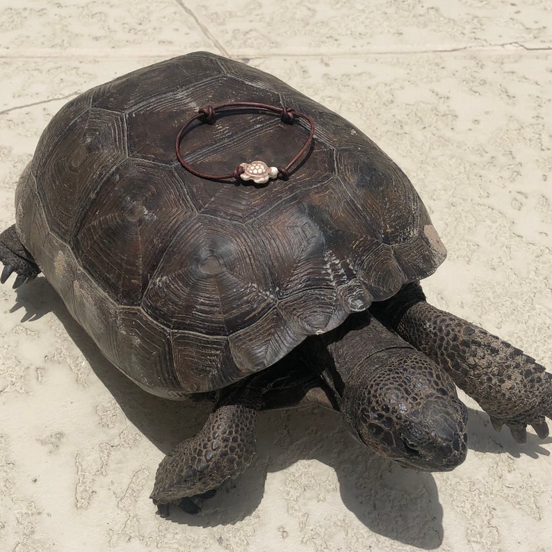 May include: A brown leather bracelet with a small, white turtle charm. The bracelet is on top of a large, dark brown tortoise.