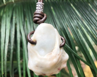 Amelia Island Florida Seashell Necklace, Souvenir, Adjustable Leather and Shell Necklace, Beach Necklace