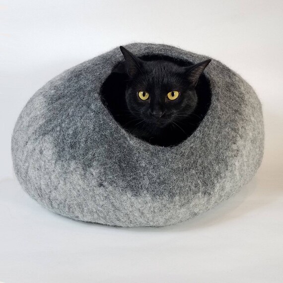 catcaveco