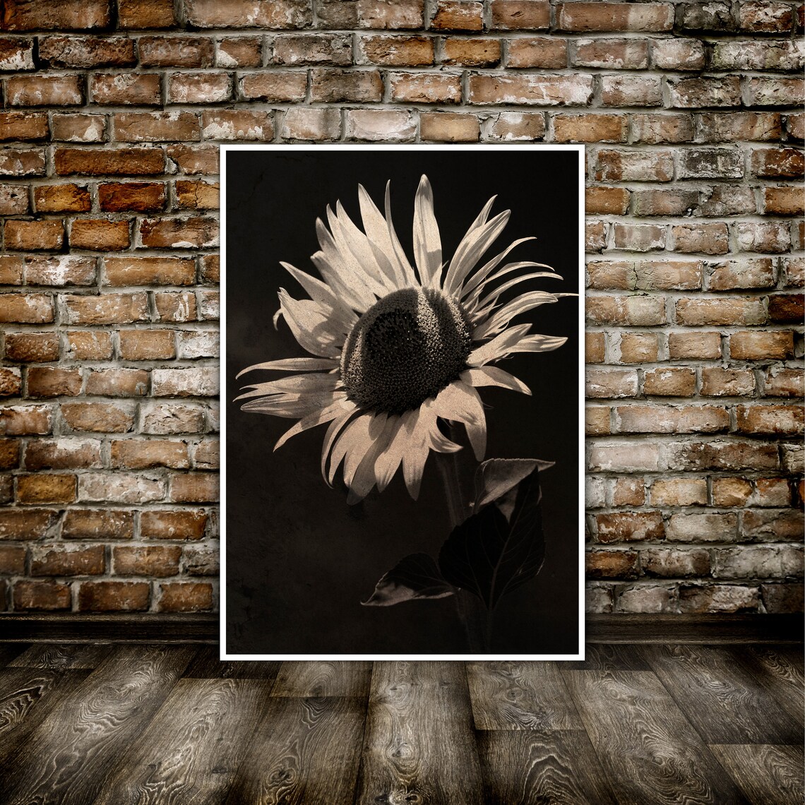 Botanical PRINTABLE wall art Sepia Wall Art Sunflower Print Etsy