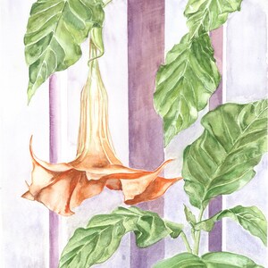 Cartes de vœux Angel’s Trumpet (5 cartes vierges)