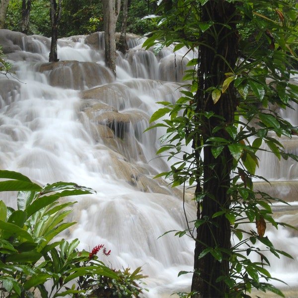 Dunns River Falls, Jamaica