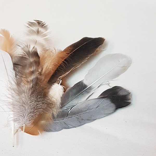 100 pcs big different feather bundle, Feathers of different birds, magpie, pigeon, rooster, chicken, DIY accessories, feathers
