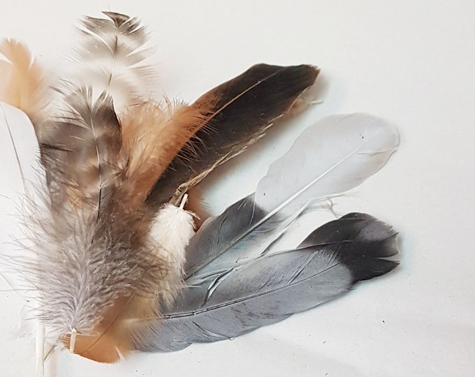 100 pcs big different feather bundle, Feathers of different birds, magpie, pigeon, rooster, chicken, DIY accessories, feathers
