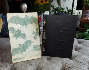 Edgar Allan Poe Tales, First Edition Bat Slipcase, Rare Gothic Book, Antique Books