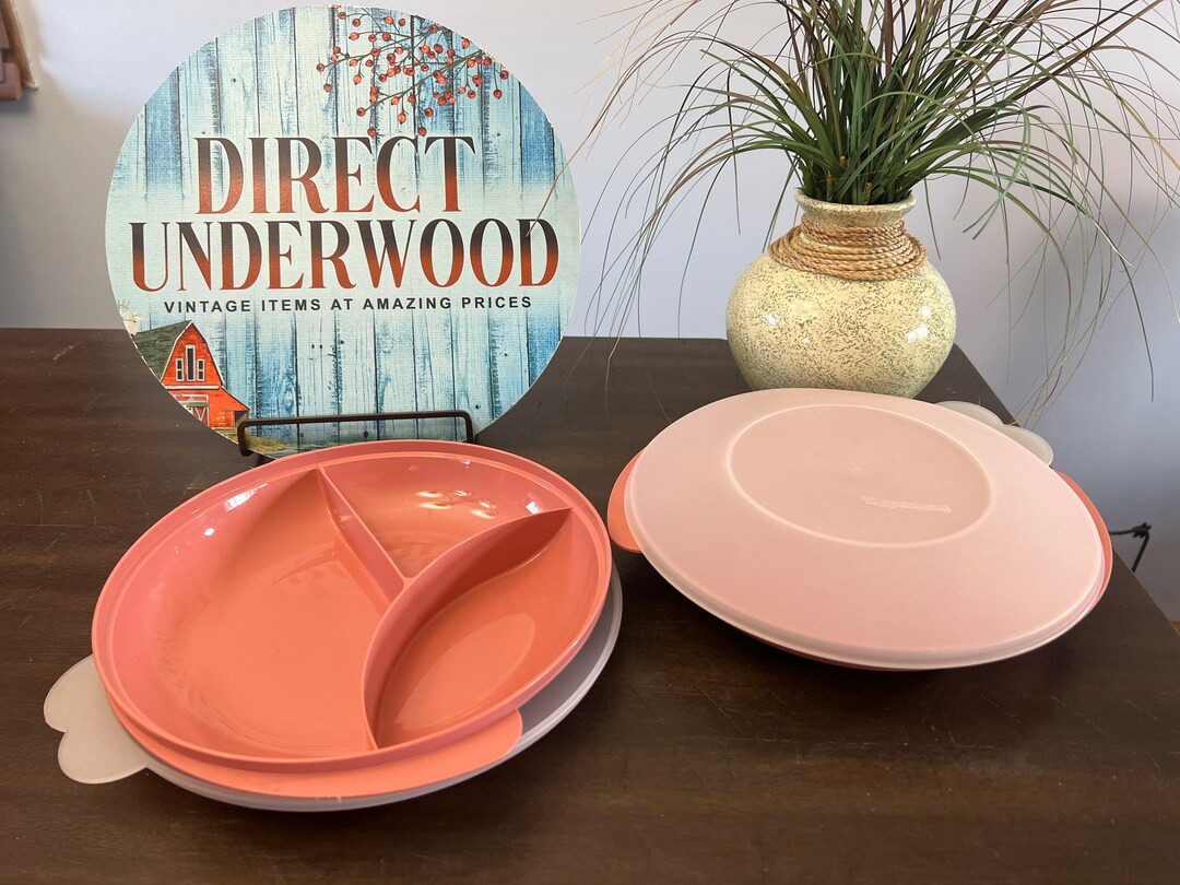 Tupperware Divided Lunch Dish Plate With Dome Seal Mauve Dusty Etsy