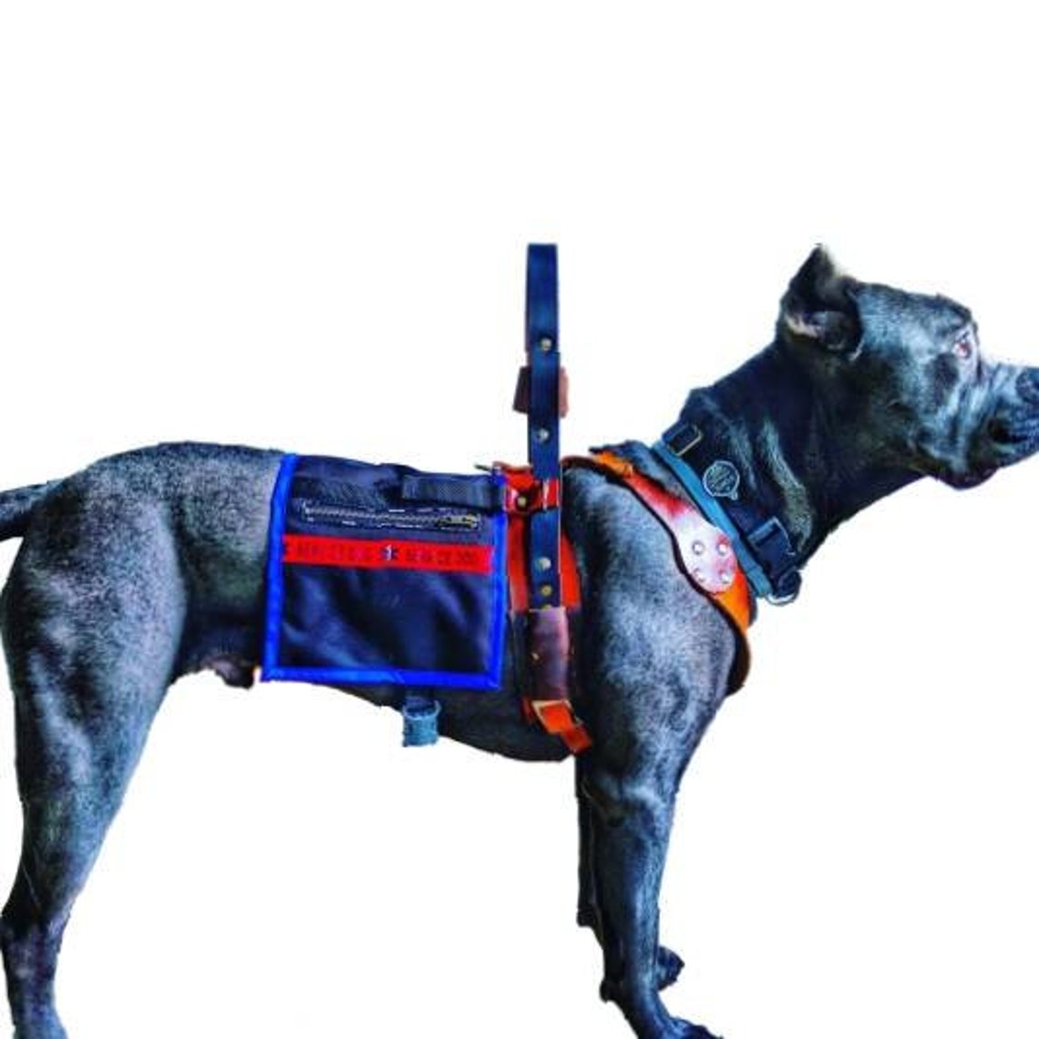 Mobility Service Dog Harness Counterbalance Handle Included Etsy