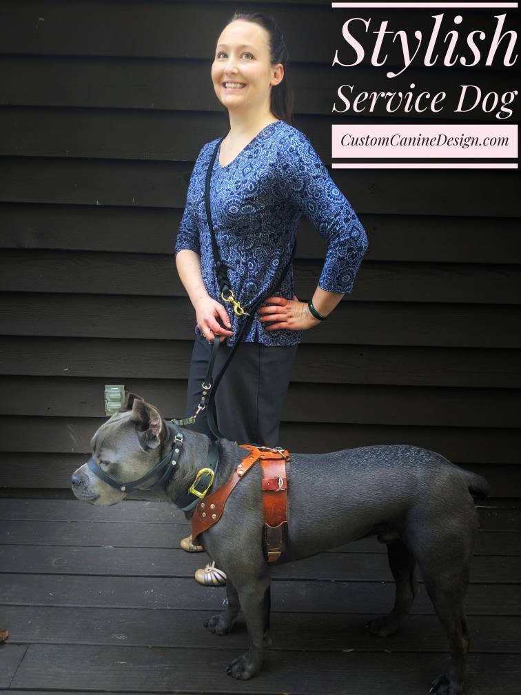 Service Dog Hands Free Leash Etsy