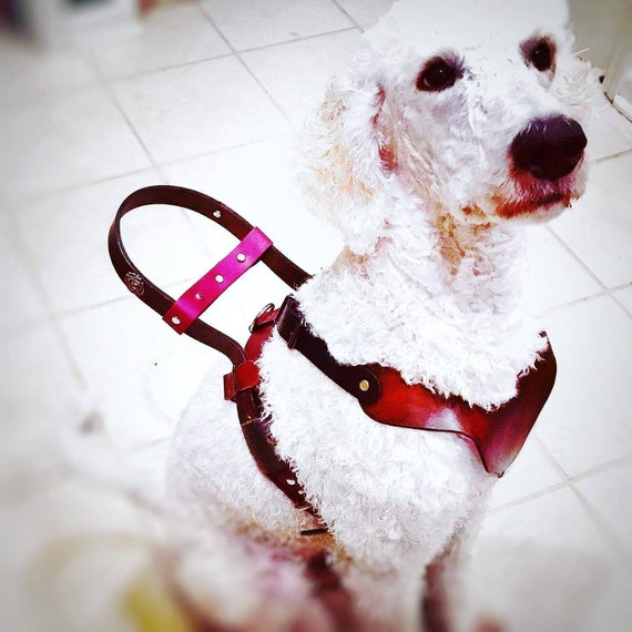 mobility balance dog harness