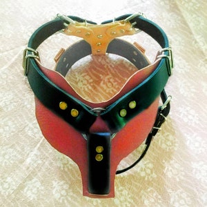 Yup Collars Y Front Harness Etsy